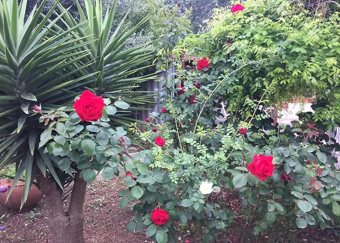 Hotel Il Giardino della Foglia Bari